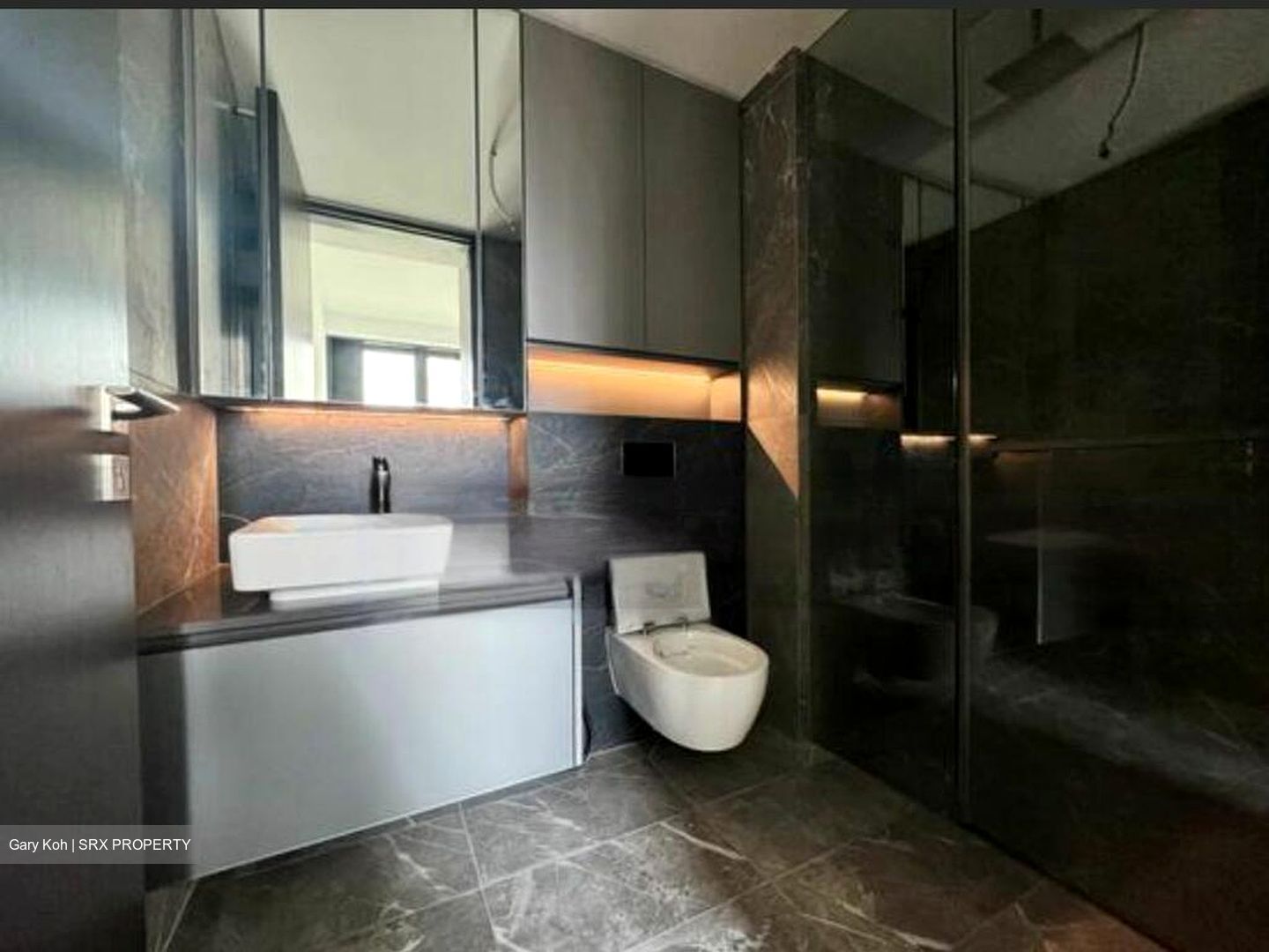 Irwell Hill Residences (D9), Apartment #473420321
